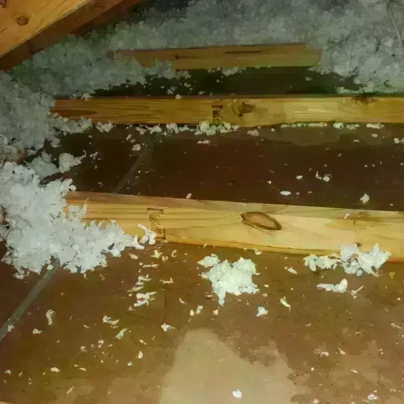 Attic Water Damage in West Gate, VA