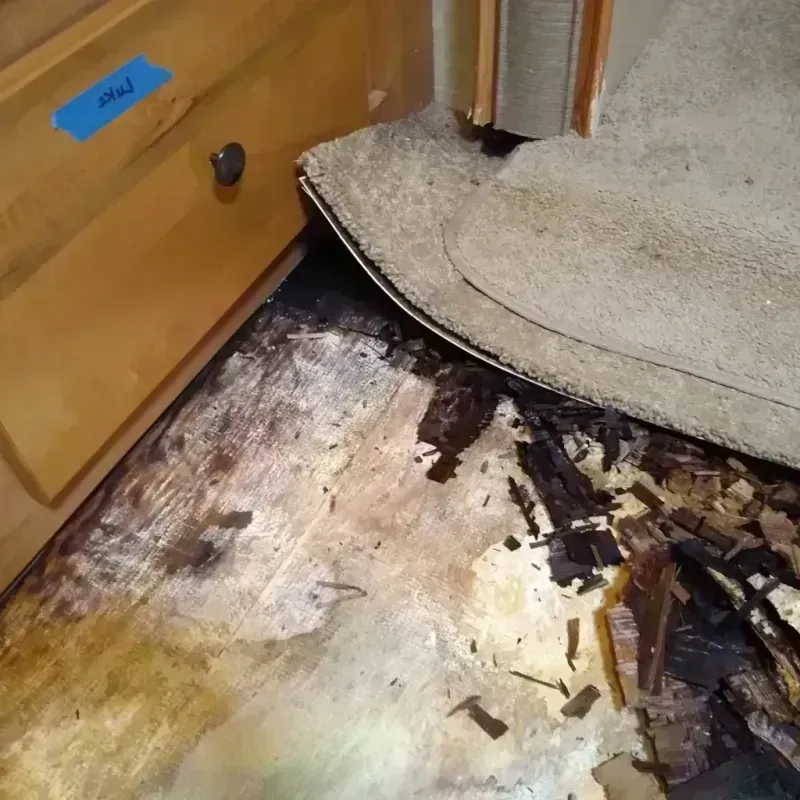 Wood Floor Water Damage in West Gate, VA